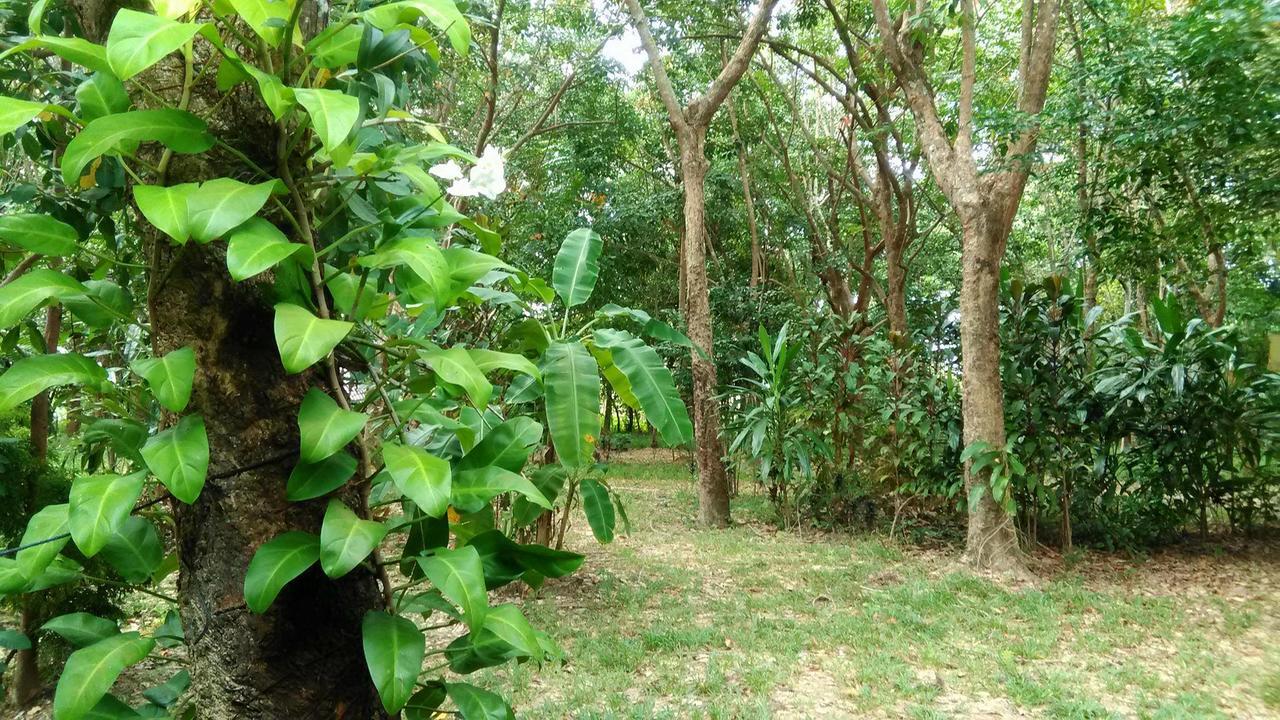 Hotel Dugong Koh Sukorn Ko Sukon Exteriér fotografie